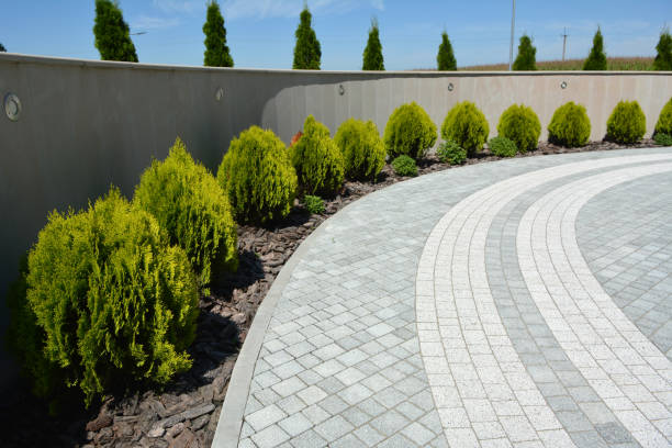 Best Local Driveway Pavers  in South Hooksett, NH